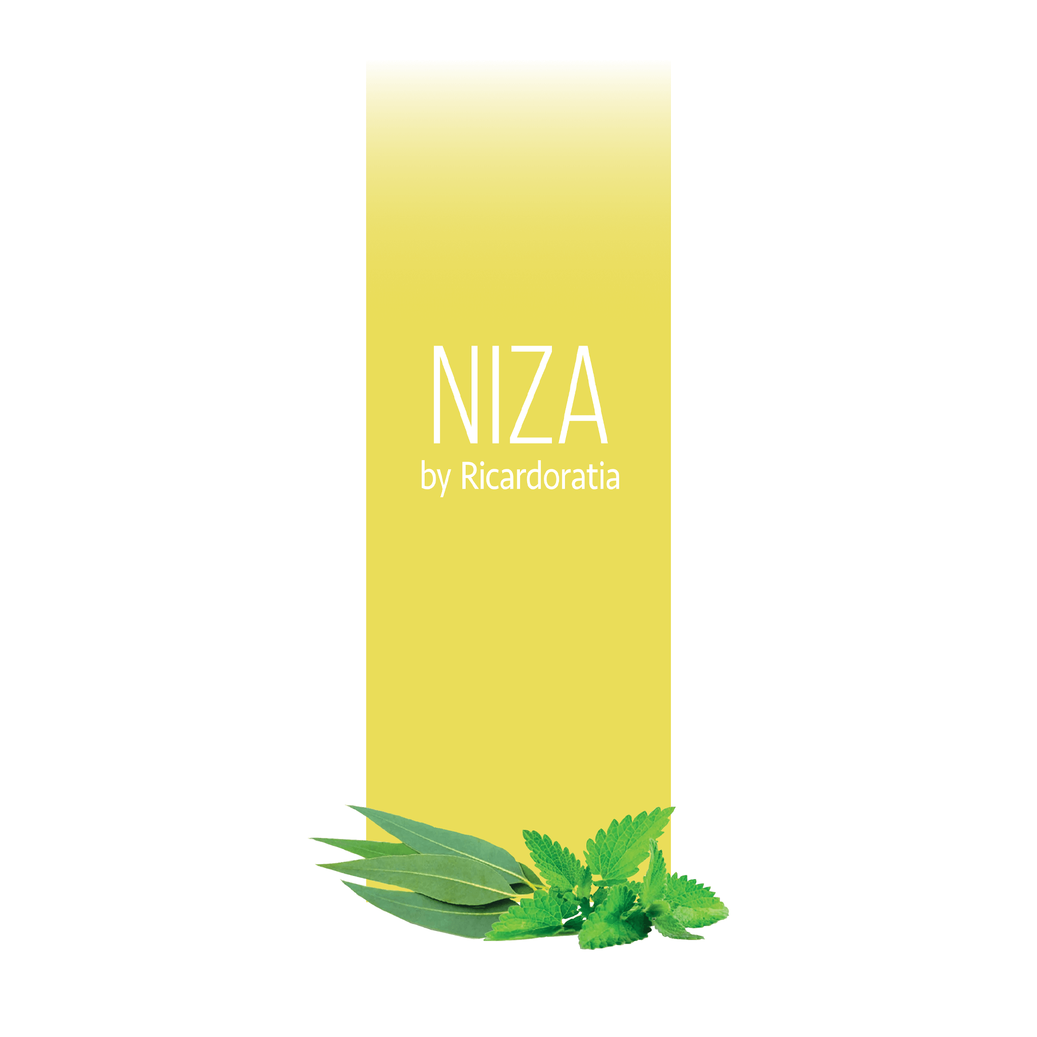 Niza
