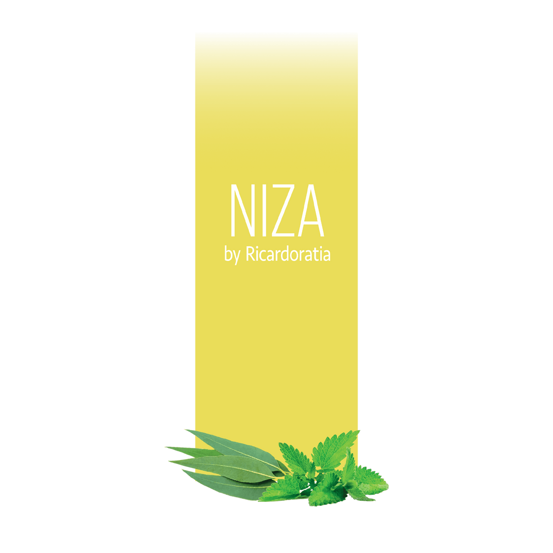 Niza